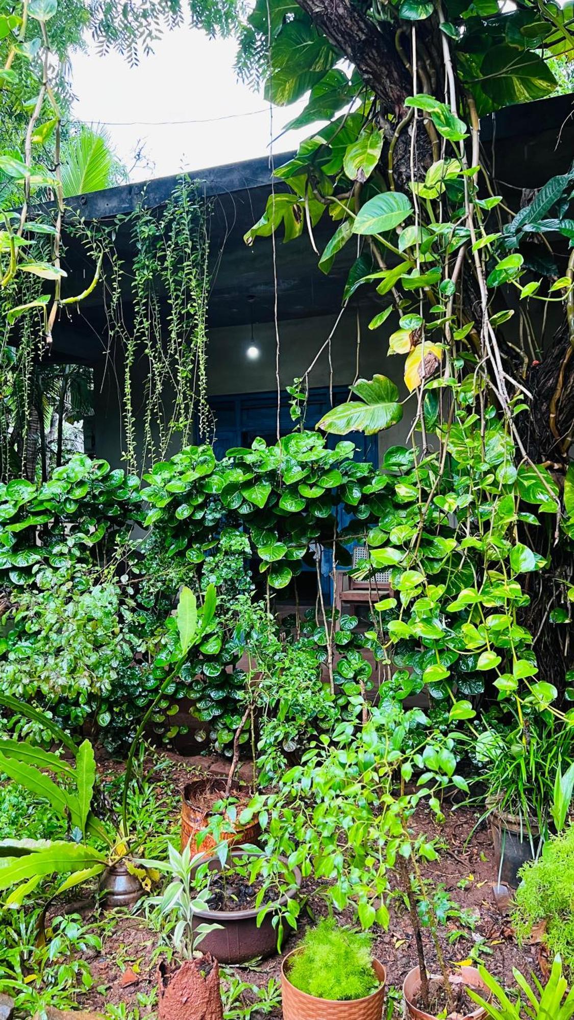 kataragama home stay Bagian luar foto
