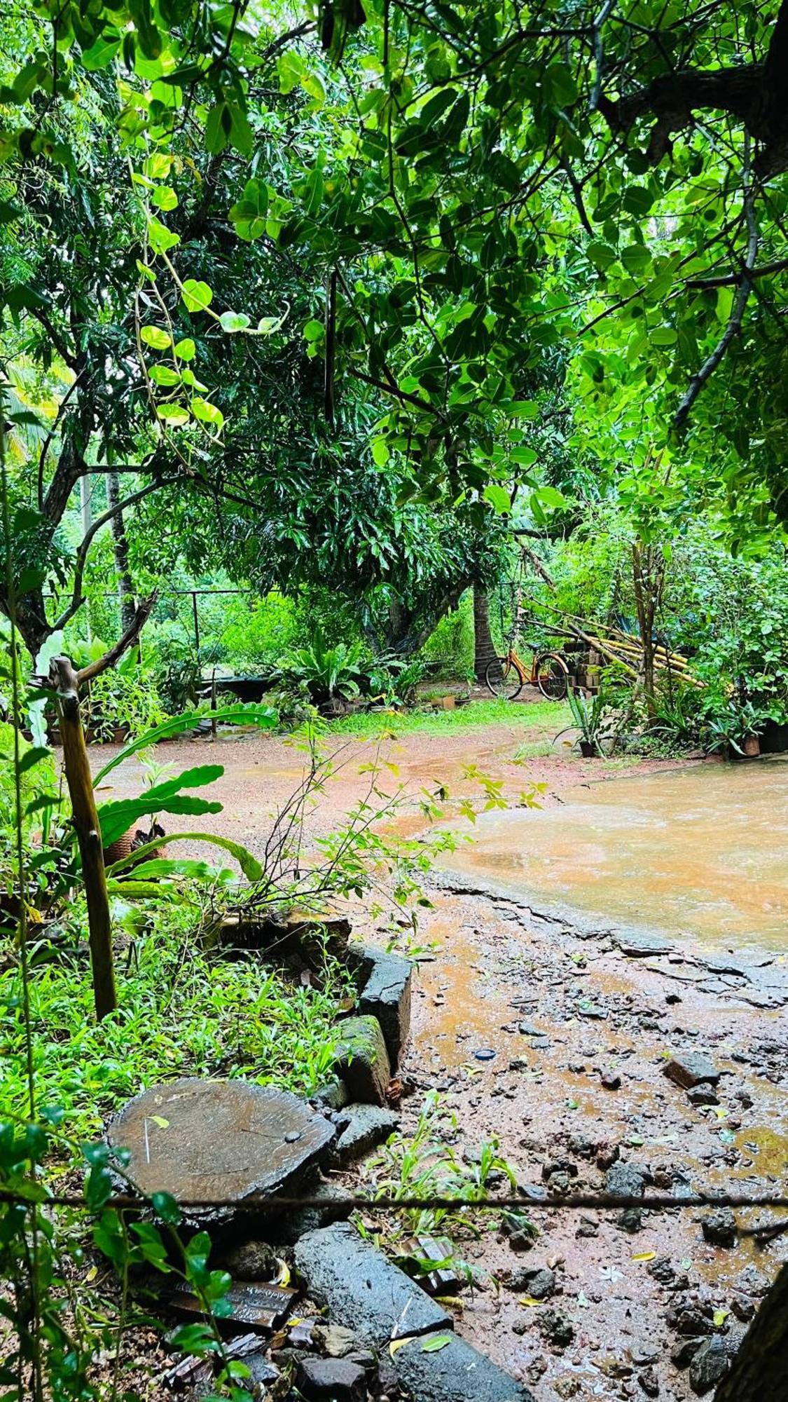 kataragama home stay Bagian luar foto