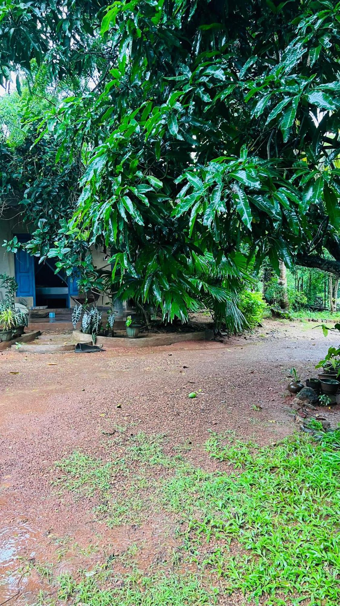 kataragama home stay Bagian luar foto