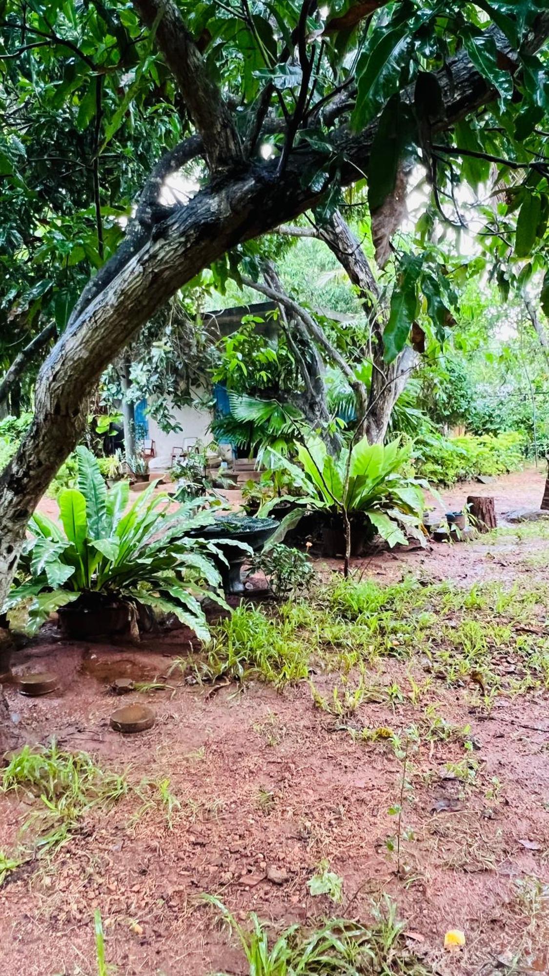 kataragama home stay Bagian luar foto