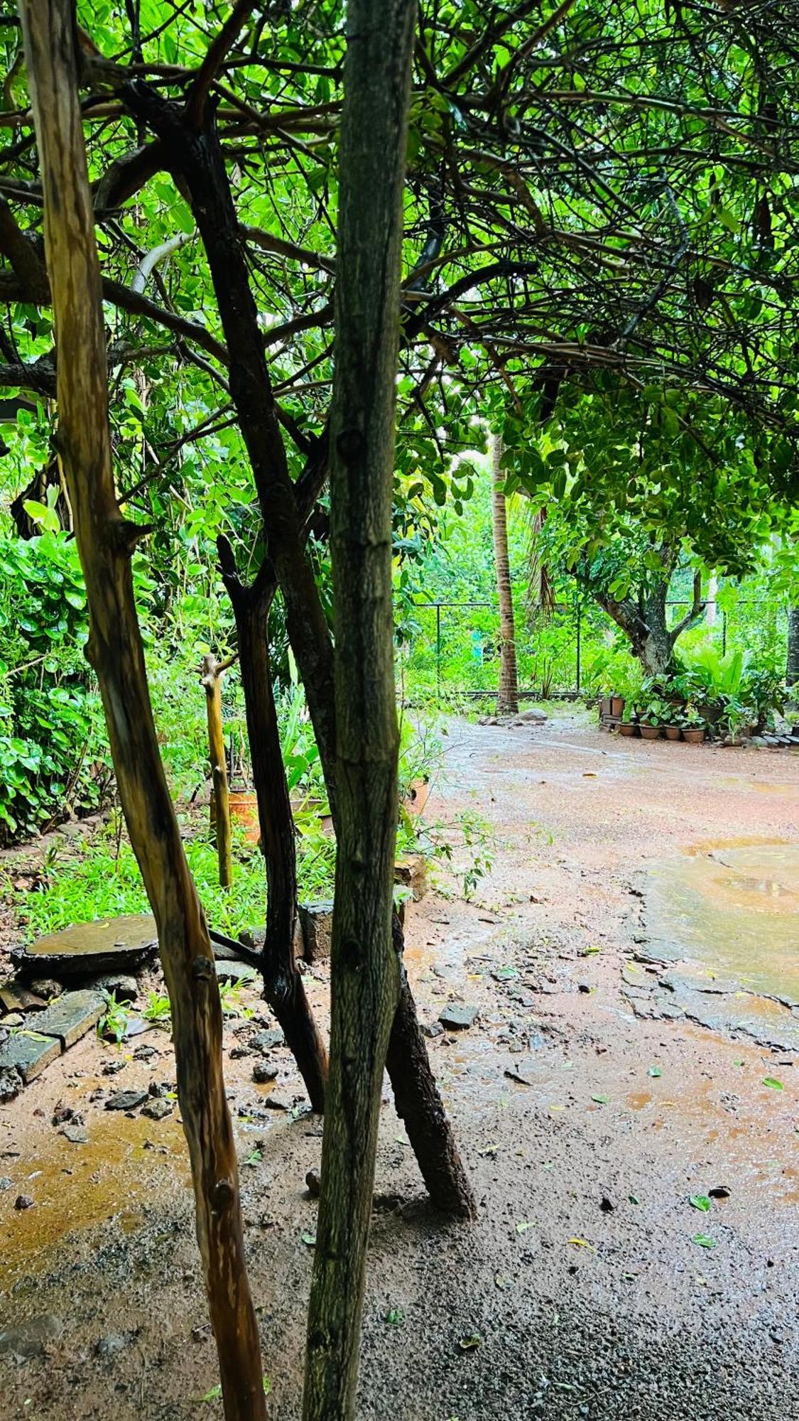 kataragama home stay Bagian luar foto